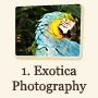 Page 1: Exotica Photography